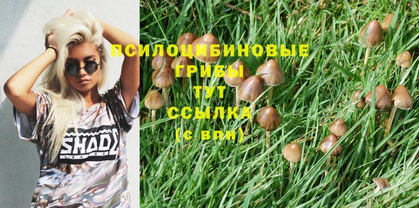 амф Абинск